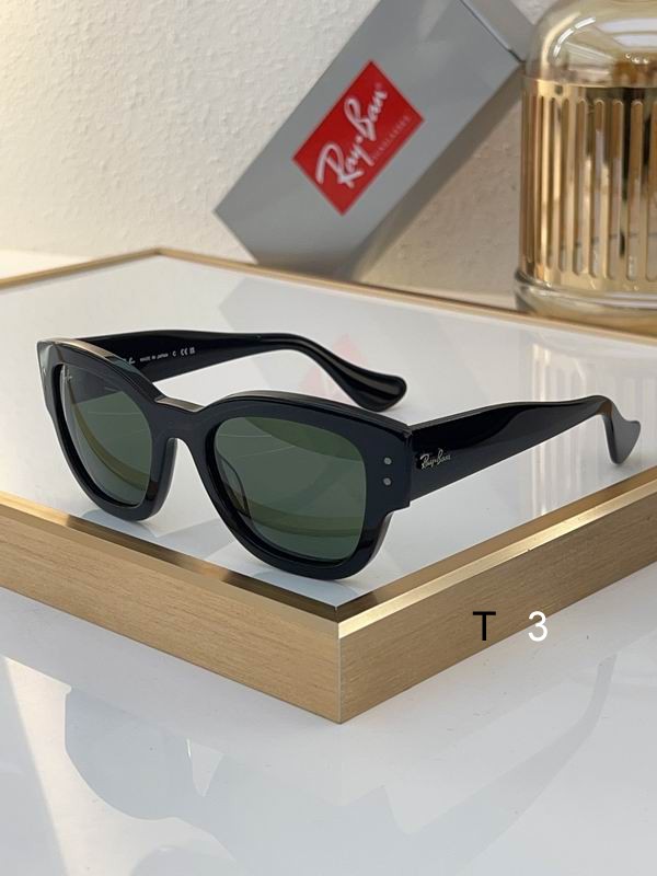 RayBan Sunglasses ID:20240804-387